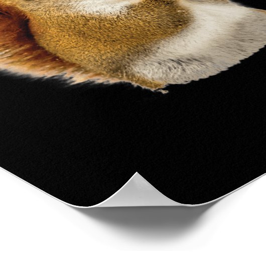 リス食べルの木の実 ポスター (角)