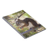 リス食べルの松のコーン2 ノートブック (右側)