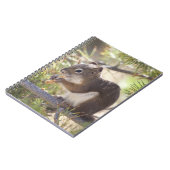 リス食べルの松のコーン2 ノートブック (左側)