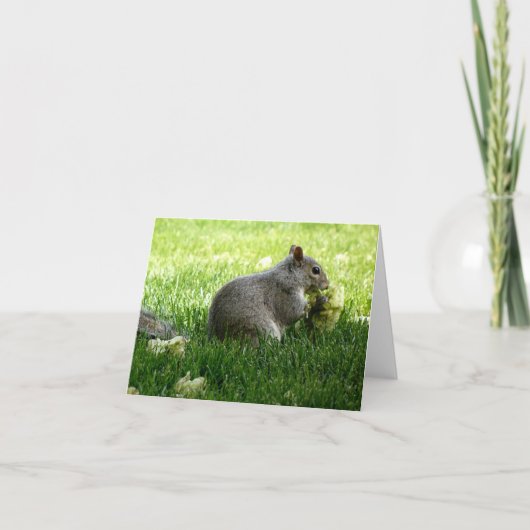 リス食べルの花 ノートカード (正面)