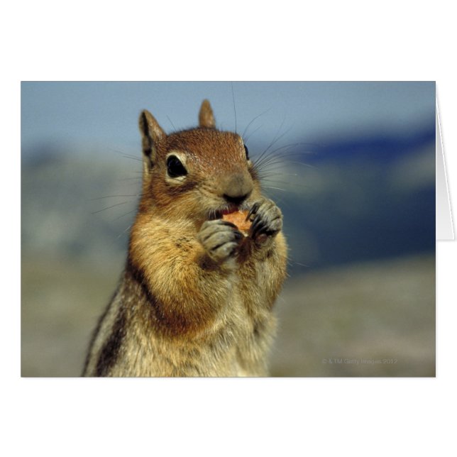 リス食べル病 (正面横)