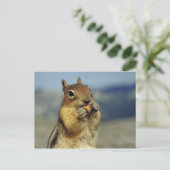 リス食べル病 ポストカード (スタンド正面)