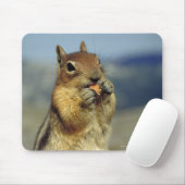 リス食べル病 マウスパッド (マウス)