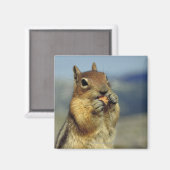 リス食べル病 マグネット (正面/裏面)