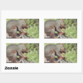 リス食べル病 長方形シール (シート)