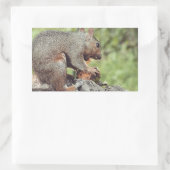 リス食べル病 長方形シール (バッグ)