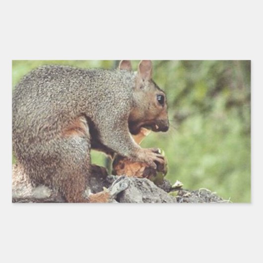 リス食べル病 長方形シール (正面)