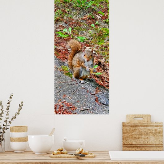 リス食べル食品 ポスター (キッチン)