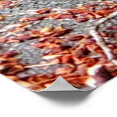 リス食べル食品 ポスター (角)