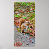 リス食べル食品 ポスター (正面)