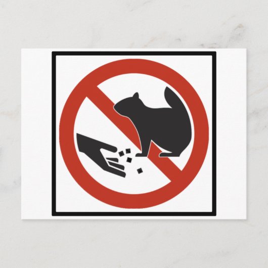 リス食べ物を与えクのハイウェイの標識を避ける ポストカード (正面)