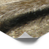 リス食べ物を与えルの時間プリント ポスター (角)