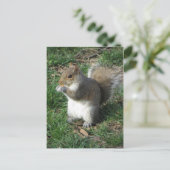 リス食べ物を与えル ポストカード (スタンド正面)