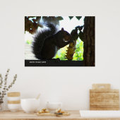 リス食べ物ルのひまわり ポスター (キッチン)