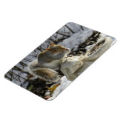 リス食べ物ルのウサギの鳥フィーダ マグネット (左側)