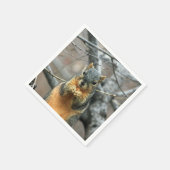 リス食べ物ルのナッツ スタンダードカクテルナプキン (角)