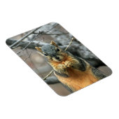 リス食べ物ルのナッツ マグネット (右側)