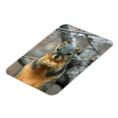 リス食べ物ルのナッツ マグネット (左側)