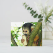 リス食べ物ル・モンキーのAウエハー・ビスケット ポストカード (スタンド正面)