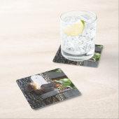 リス飲料コースター スクエアペーパーコースター (インサイチュ)