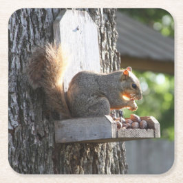 リス飲料コースター スクエアペーパーコースター