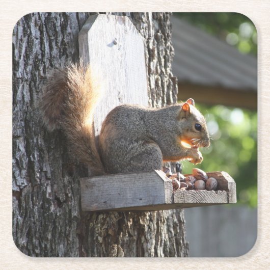 リス飲料コースター スクエアペーパーコースター (正面)