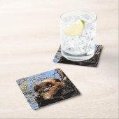 リス飲料コースター スクエアペーパーコースター (インサイチュ)