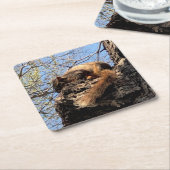 リス飲料コースター スクエアペーパーコースター (アングル)