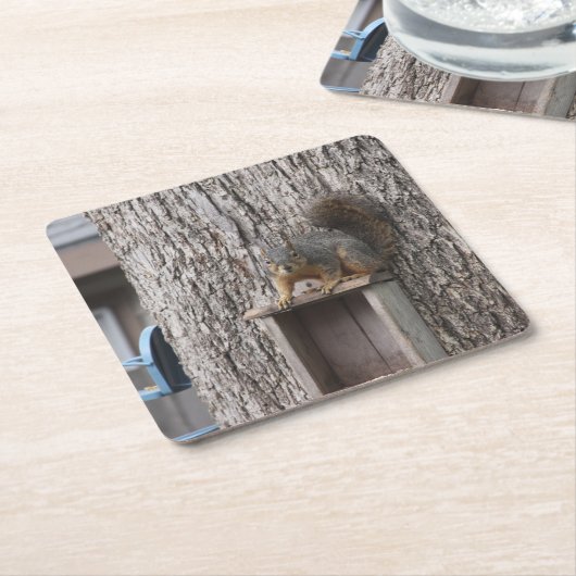 リス飲料コースター スクエアペーパーコースター (アングル)