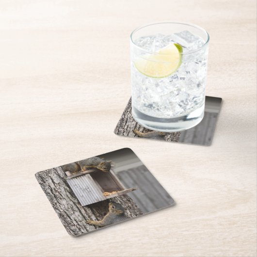 リス飲料コースター スクエアペーパーコースター (インサイチュ)