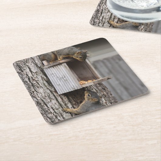 リス飲料コースター スクエアペーパーコースター (アングル)
