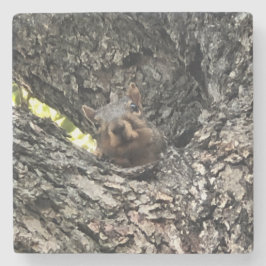 リス飲料コースター ストーンコースター