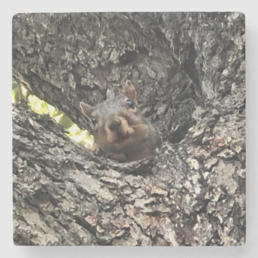 リス飲料コースター ストーンコースター (正面)