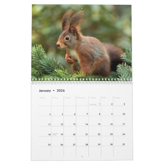 リス2024 カレンダー (1月 2026)