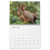 リス2024 カレンダー (1月 2027)