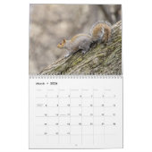 リス2026 カレンダー (3月 2026)