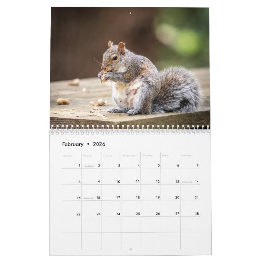 リス2026 カレンダー (2月 2026)