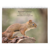 リス2026 カレンダー (カバー)