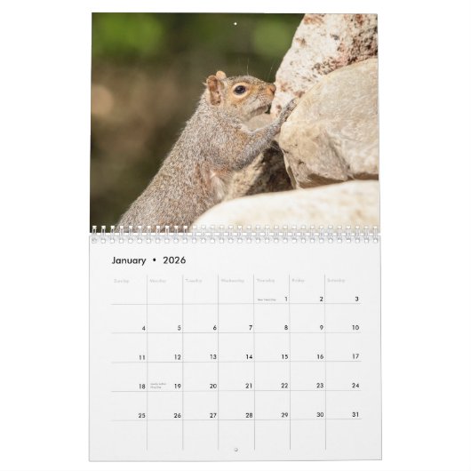 リス2026 カレンダー (1月 2026)