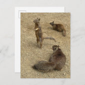 リス3人 インビテーションポストカード (正面/裏面)