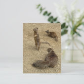 リス3人 インビテーションポストカード (スタンド正面)