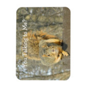 リス(お話し) マグネット (縦)