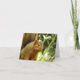 リス の 肖像 自然 の 動物 写真 サンキューカード