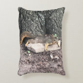 リス アクセントクッション (正面(垂直))