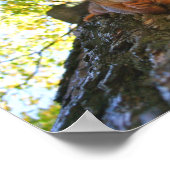 リス・アット・レスト ポスター (角)