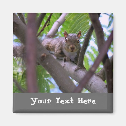 リス・イン・ツリー冷蔵庫用マグネット マグネット (正面)