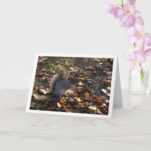 リス·イン·葉 カード (蘭)