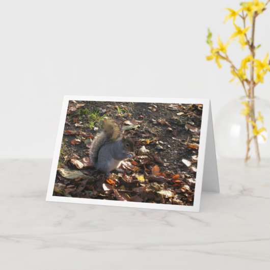 リス·イン·葉 カード (黄色い花)