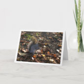 リス·イン·葉 カード (正面)