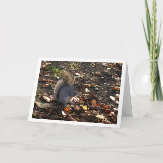 リス·イン·葉 カード (正面)